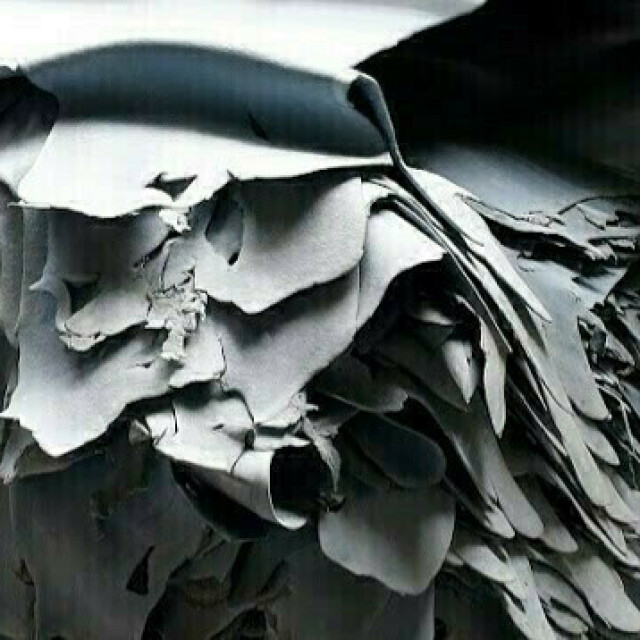 Wet-blue e wet-white